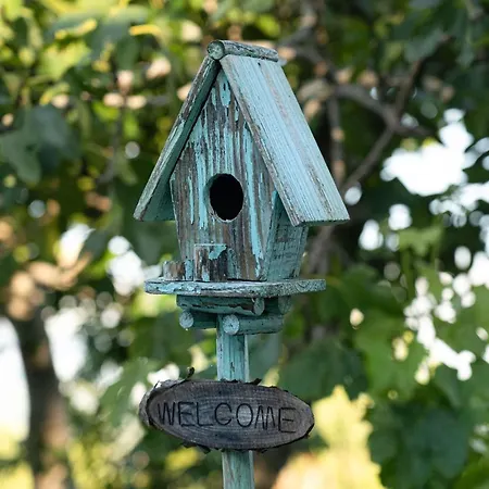 House Leptir * Drniš