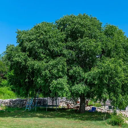 House Leptir Drniš