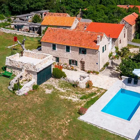 House Leptir